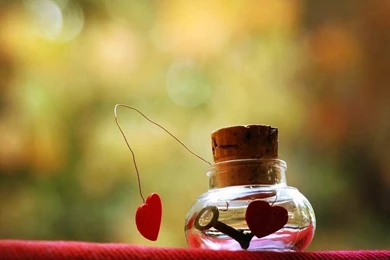 Sweet Love Picture, Ipad Wallpapers Free Download