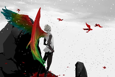 12 Kamen Rider Ooo HD Wallpapers