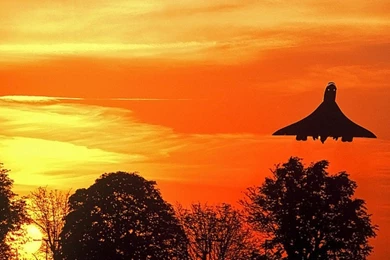 Commercial: Miss Concorde Beauty Fly Plane Full HD Wallpapers For ...