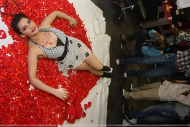 Wallpapers   Indian Model Cum Bollywood Actress Madhavi Sharma In ...