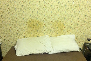 My Boyfriend And I Moved Into This Place With Awful Wallpaper. We ...