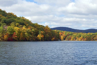 Autumn Forest Lake H Wallpapers