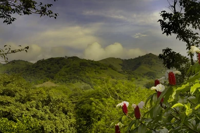Landscape At Costa Rica Wallpapers And Images   Wallpapers ...