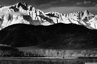 Download 2pac Monochrome Wallpapers 1920x1080