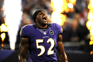 Ray Lewis Wallpapers   Wallpaper.