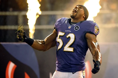 Ray Lewis Wallpapers   Wallpaper.