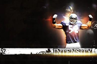 Ray Lewis Wallpapers Free Download Hd Free Download