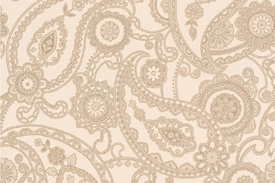 Paisley Wallpapers   Wallpapers Zone