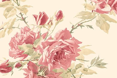 Pale Pink Paper Roses Wallpapers By Norwall