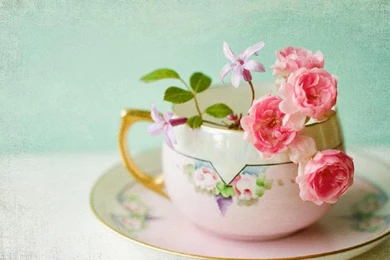 Pink Rose Teacup   (