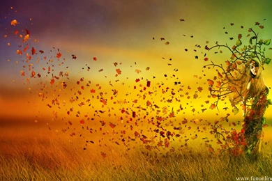 Autumn Wallpapers, Download Nice And Lovely Autumn Wallpapers For Free