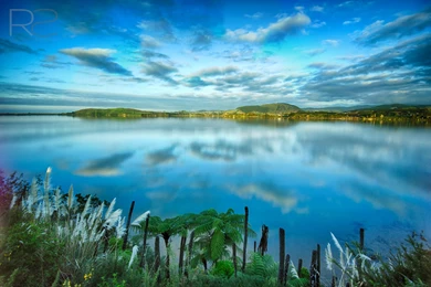 Wallpapers   2/3   Rowan Sims