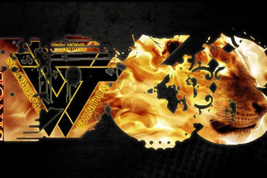 Browsing Wallpapers On DeviantArt