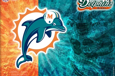 Dolphins Wallpapers 2
