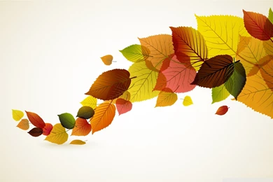 Autumn Leaves Backgrounds HD Desktop Wallpapers : High Definition ...