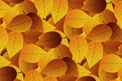 Autumn Leaves : Desktop And Mobile Wallpapers : Wallippo