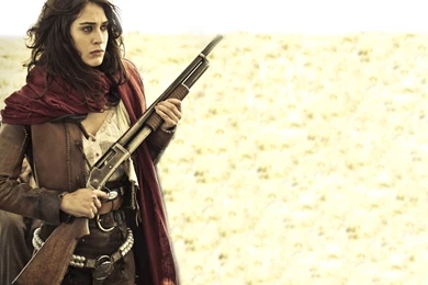 Lizzy Caplan HD Wallpapers For Desktop Download