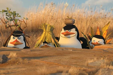 13 Quality Penguins Of Madagascar Wallpapers, TV & Movies
