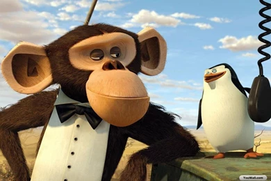 YouWall   Madagascar 2 Wallpapers   Wallpaper,wallpapers,free ...