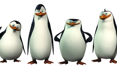 13 Quality Penguins Of Madagascar Wallpapers, TV & Movies