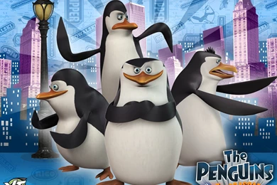 Of Madagascar Wallpapers City Backrouns Penguins Of Madagascar ...