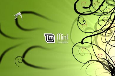 LMDE Wallpapers By Nacsasoft On DeviantArt