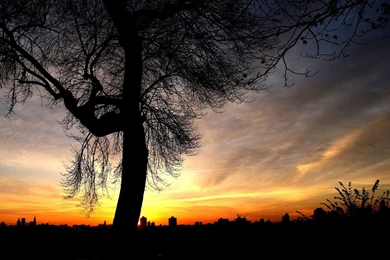 Wallpapers Lxde Hd Linux Widescreen 1920x1080