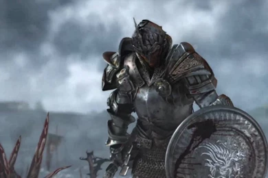 Dragon Age : Origins The Grey Wardens HD   YouTube