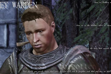 Wallpapers Paul Gray Grey Warden Alistair 1600x900