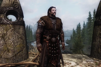 Grey Warden At Skyrim Nexus   Mods And Community