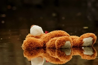 Cute Plush Toys Xionggao Qing Desktop Wallpapers 3 － Other ...