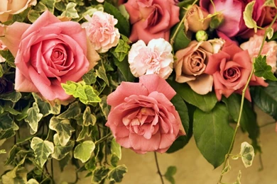 Eye Catching Wallpapers Of Flowers