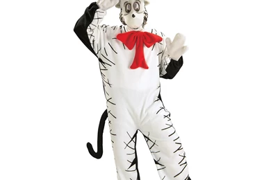 Images Of Cat In The Hat   HD Wallpapers Pretty