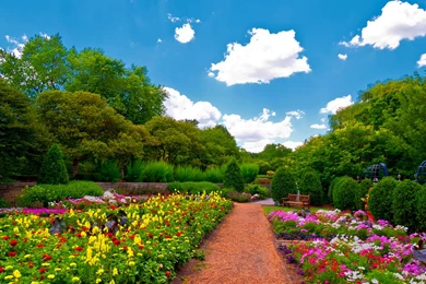 Amazing Nature Wallpapers, Flowers, Widescreen Images, Free ...