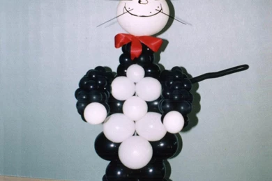 Pictures Of Cat In The Hat HD Wallpapers Pretty