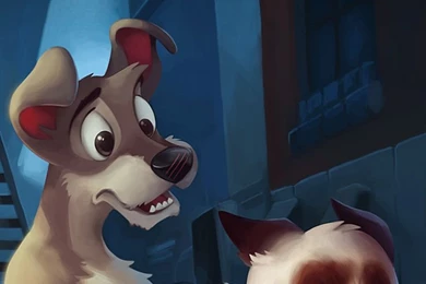 The Cat In The Hat Wallpapers   Recherche Google