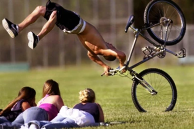 Funny Wallpapers HD Free Download For Desktop