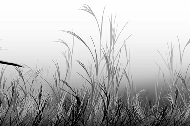 Samurai Champloo Wallpapers