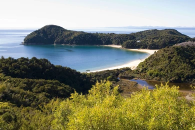 Real Nature Way Inside Grass HD Wallpapers – Widescreen Wallpapers