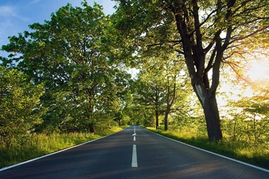 Sunset Wallpapers Download