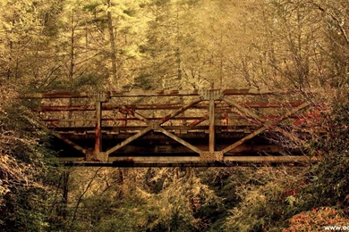 Download Free Best Real World Wallpapers