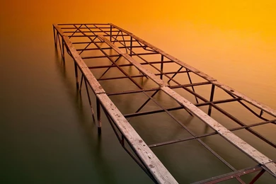 Nature: Fog At Sunrise Pelican Valley Yellowstone National Park ...