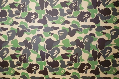 Bathing Ape Dog Camo Hoodie