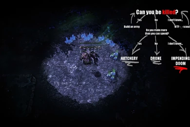 My Zerg Wallpapers : Starcraft