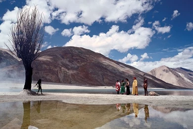 The Fall Wallpapers   Wallpapers Cave