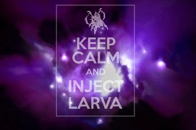 Download Zerg Wallpapers 1920x1080