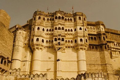 The Fall Wallpapers HD Download