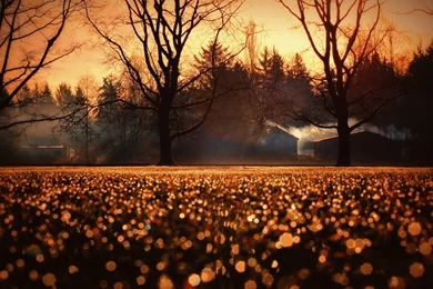Morning Sunrise In The Fall HD Wallpapers » FullHDWpp Full HD ...