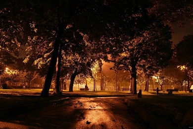 Download 2560x1440 Dark Night In The Fall Park Wallpapers