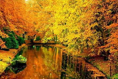 Autumn In France Wallpapers   Seasonal   Crazy Frankenstein